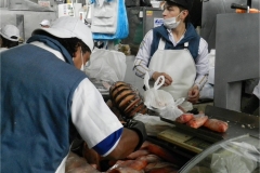 Visita a mercato 5