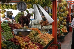 Visita a mercato 8