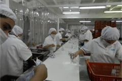 Visita a stabilimento produttivo