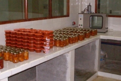 rete andina 086_640x480